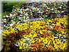 DSCN0127.JPG