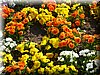 DSCN0137.JPG