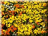 DSCN0138.JPG