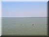 DSCN0147.JPG