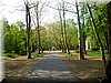 DSCN0157.JPG