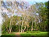 DSCN0159.JPG