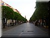 DSCN0175.JPG