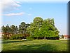 DSCN0191.JPG