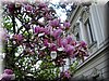 DSCN0193.JPG