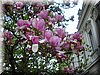 DSCN0198.JPG