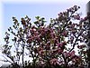 DSCN0199.JPG