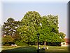 DSCN0200.JPG