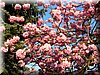 DSCN0209.JPG