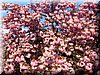 DSCN0210.JPG