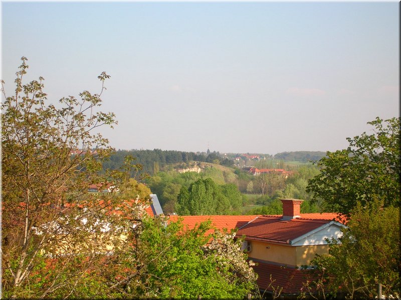 DSCN0227.JPG