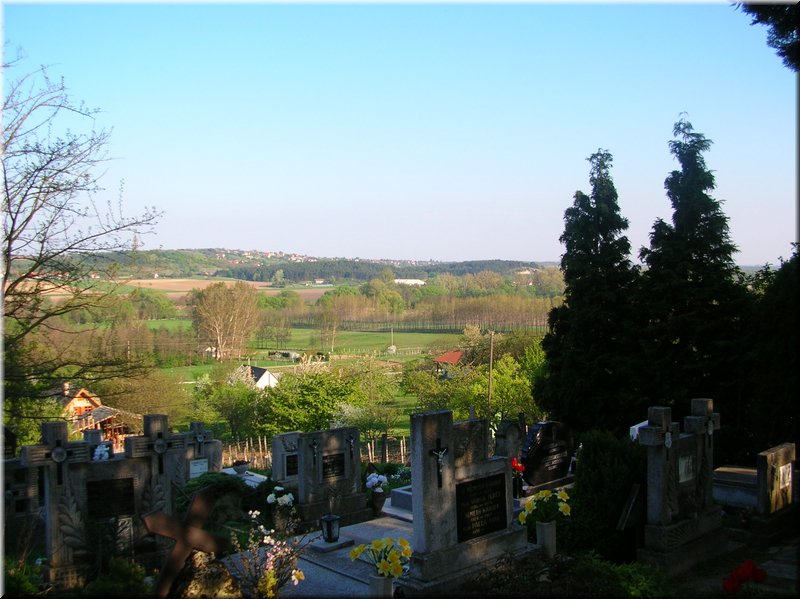 DSCN0251.JPG