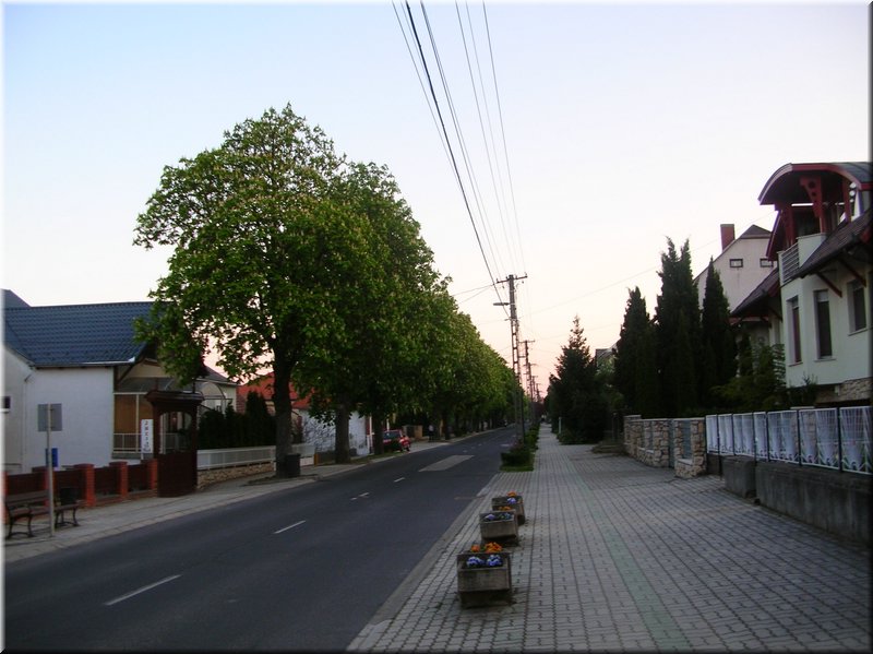 DSCN0273.JPG