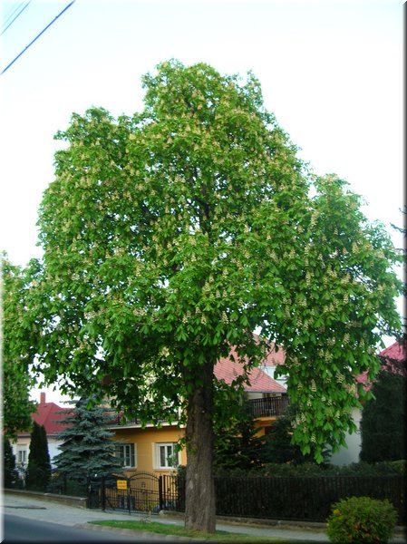 DSCN0274.JPG