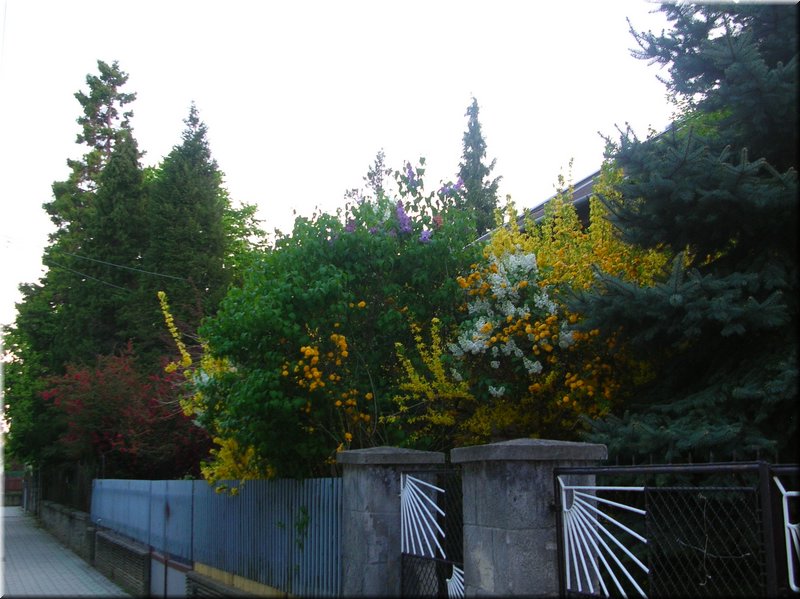 DSCN0275.JPG