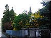 DSCN0275.JPG