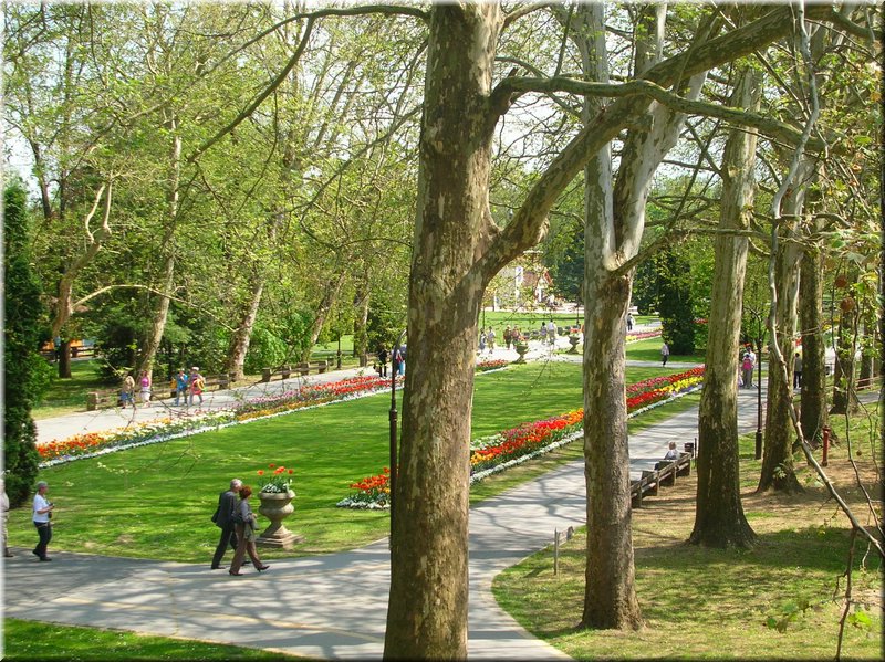 DSCN0425.JPG