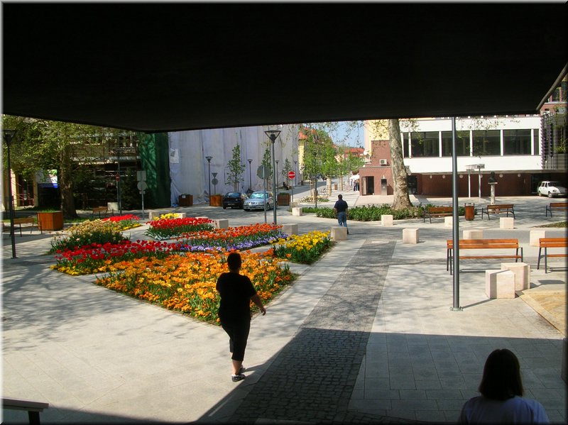 DSCN0434.JPG
