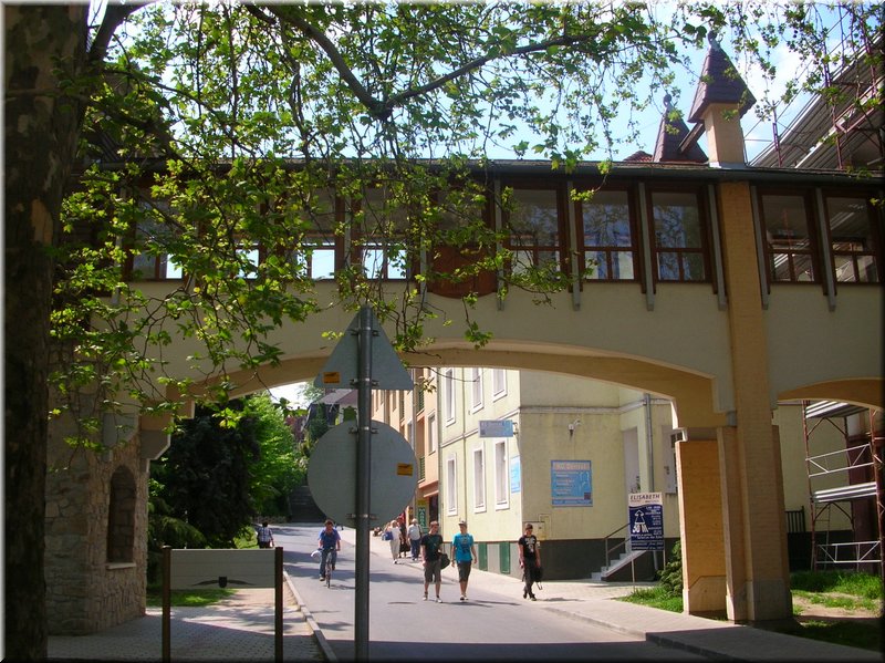 DSCN0435.JPG