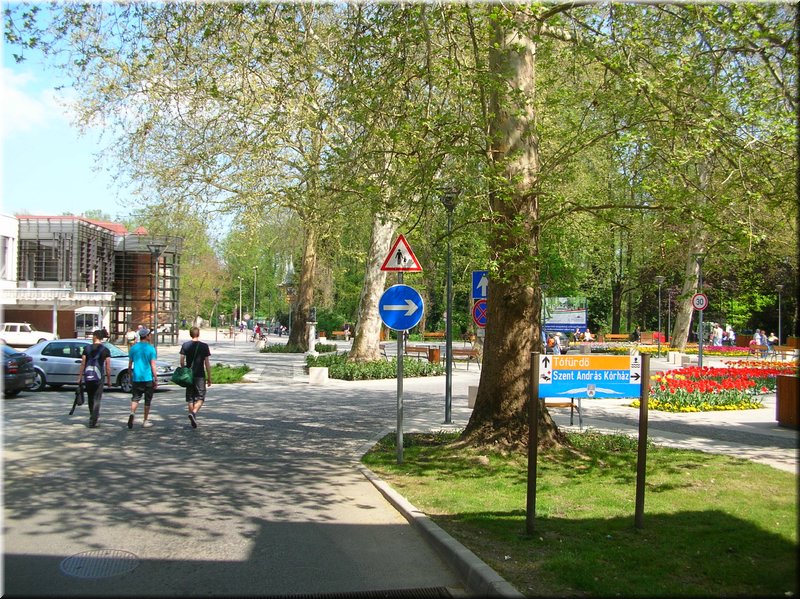 DSCN0436.JPG