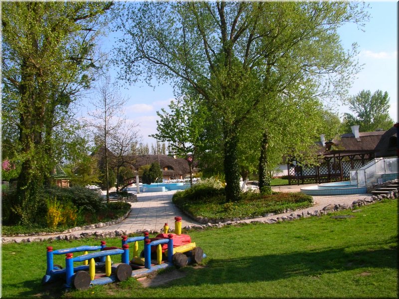 DSCN0437.JPG