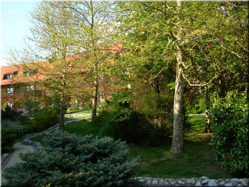 DSCN0444.JPG