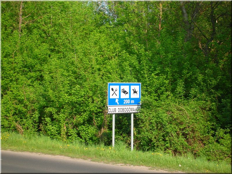 DSCN0447.JPG