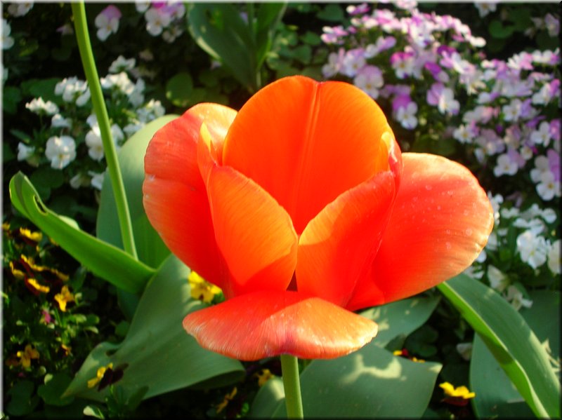 DSCN0472.JPG