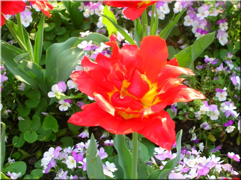 DSCN0474.JPG