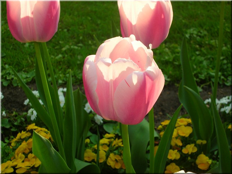 DSCN0475.JPG