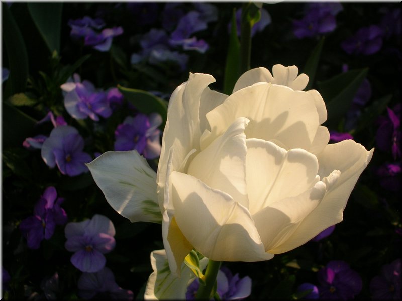 DSCN0476.JPG