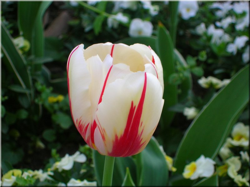 DSCN0479.JPG