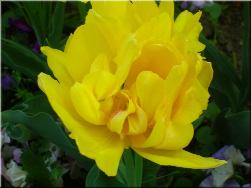 DSCN0480.JPG