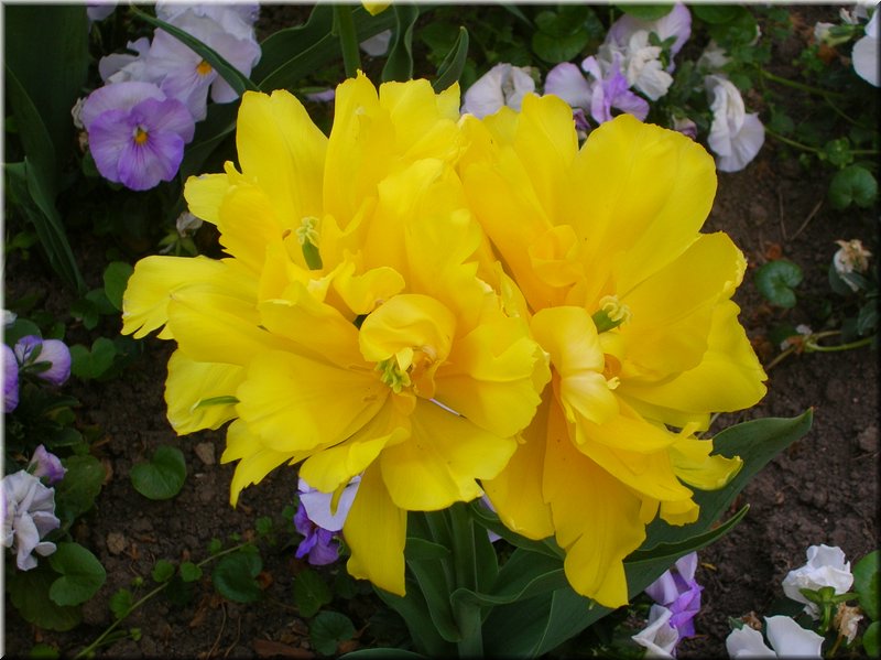 DSCN0481.JPG