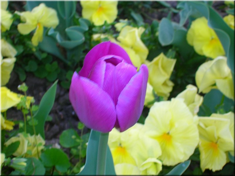 DSCN0485.JPG