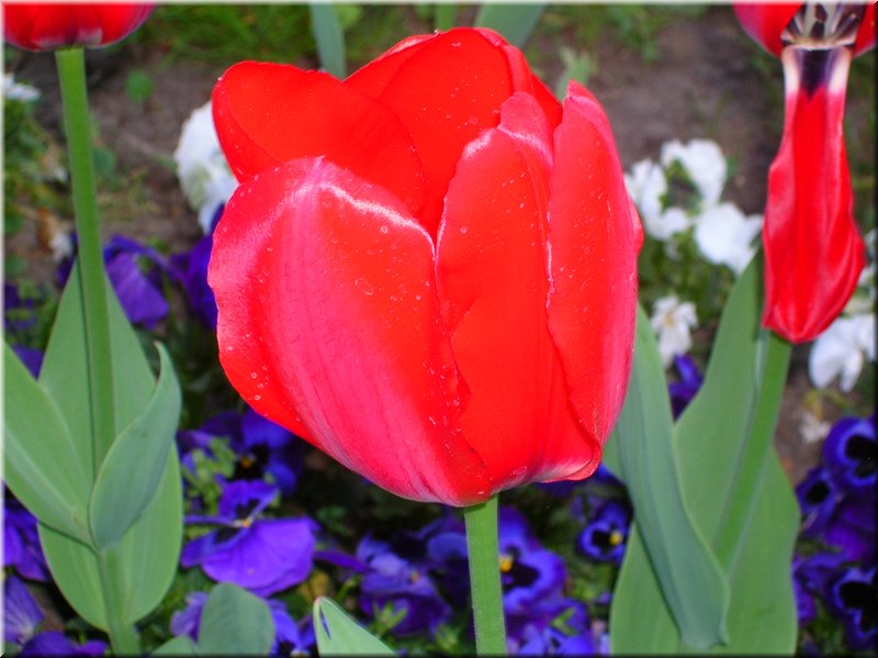 DSCN0488.JPG
