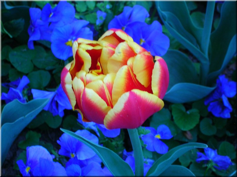 DSCN0491.JPG