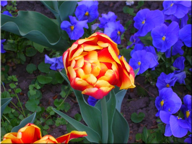 DSCN0495.JPG