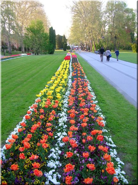 DSCN0500.jpg