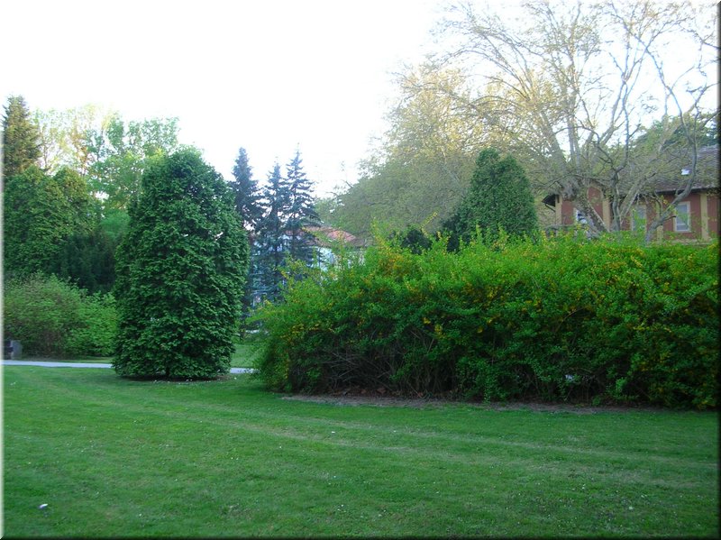 DSCN0509.JPG
