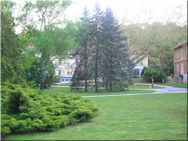 DSCN0513.JPG