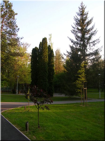 DSCN0514.jpg