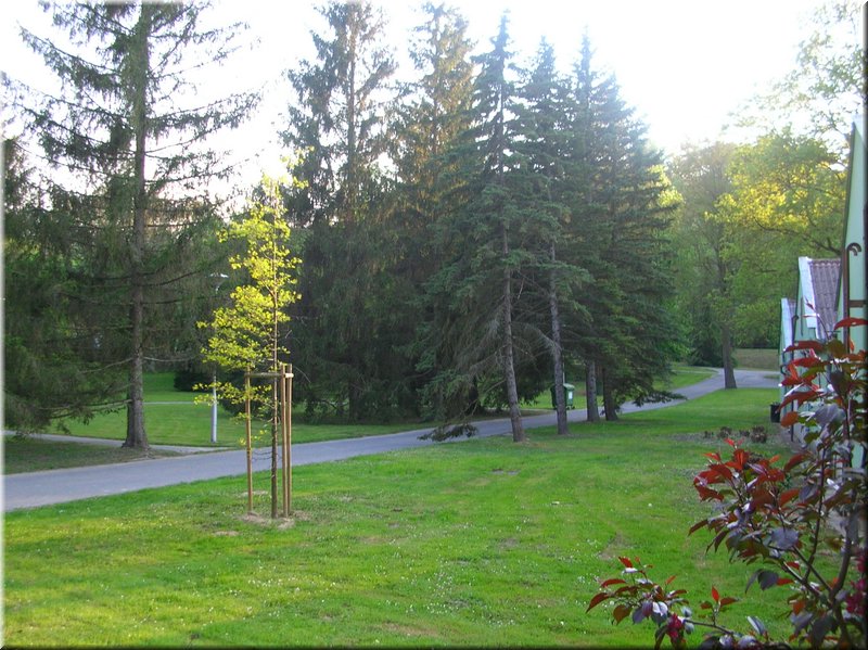 DSCN0515.JPG