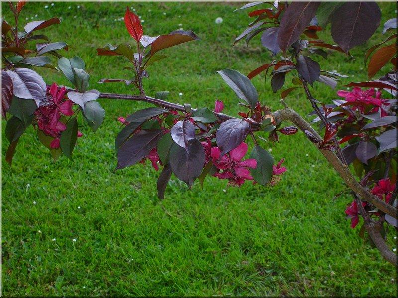 DSCN0516.JPG