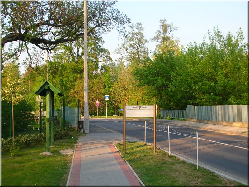 DSCN0518.JPG