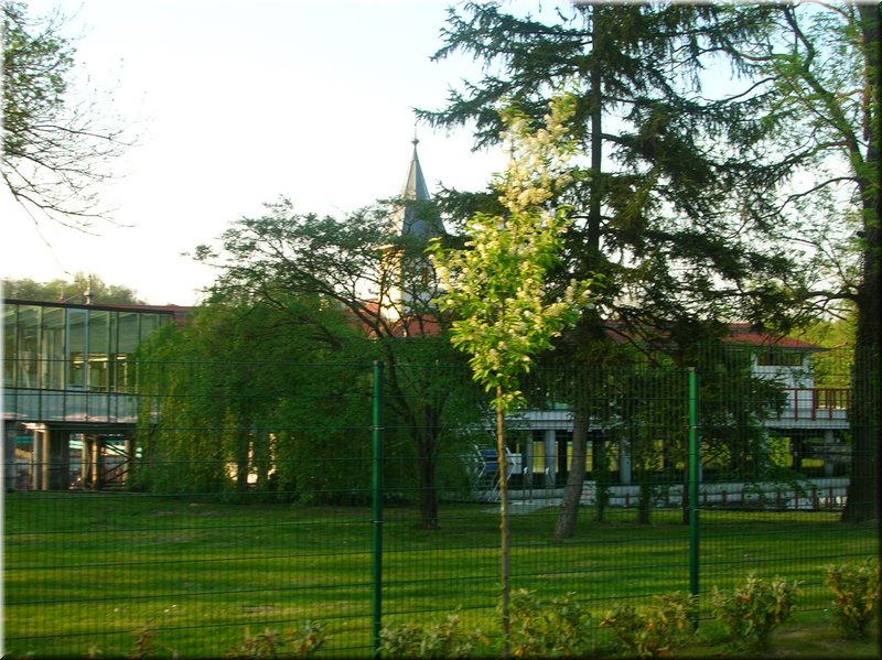 DSCN0519.JPG