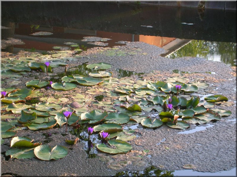 DSCN0526.JPG