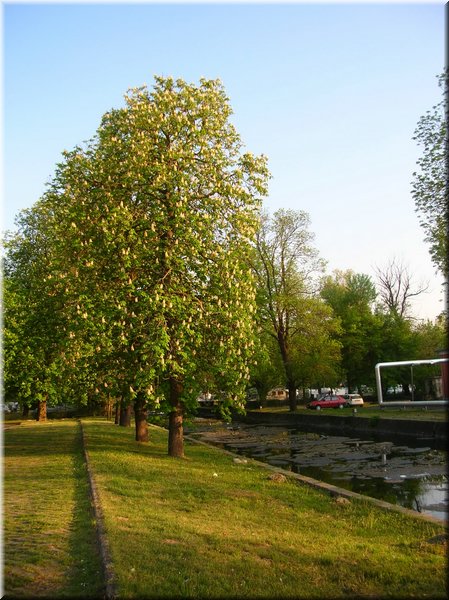 DSCN0534.jpg