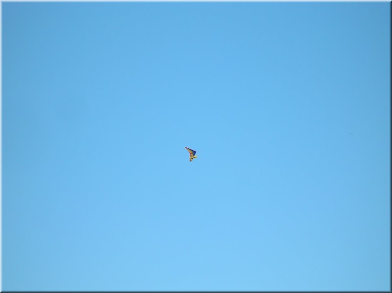 DSCN0536.JPG