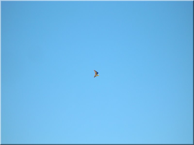 DSCN0537.JPG